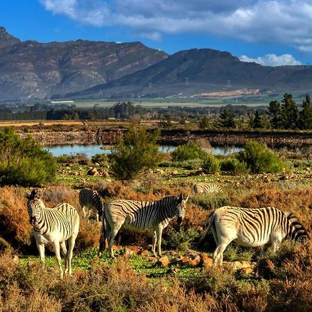 Welbedacht Game & Nature Reserve Tulbagh Luaran gambar