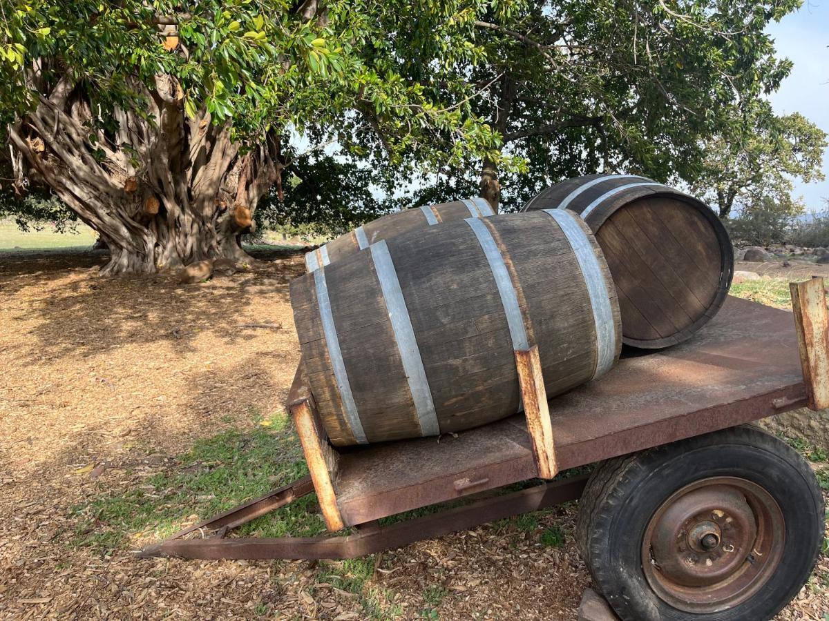 Welbedacht Game & Nature Reserve Tulbagh Luaran gambar