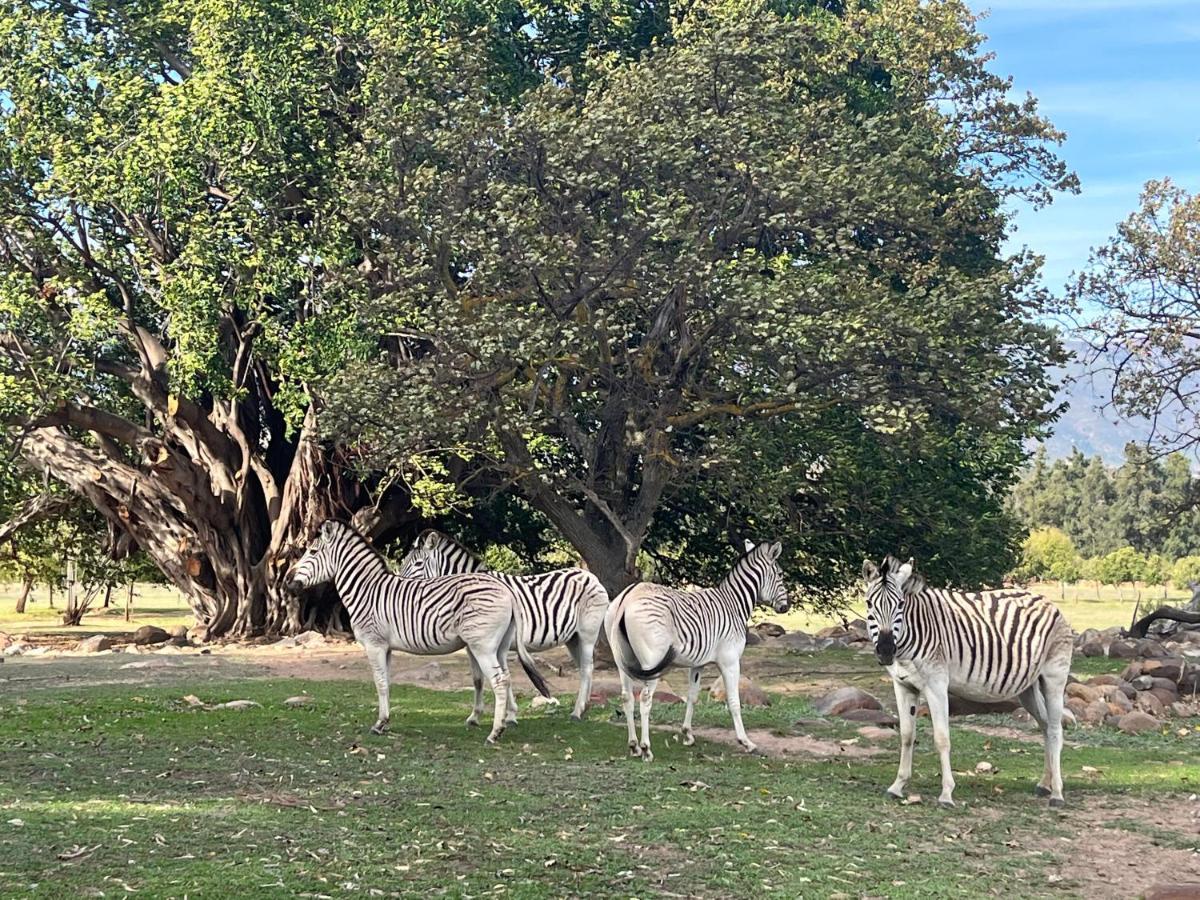 Welbedacht Game & Nature Reserve Tulbagh Luaran gambar