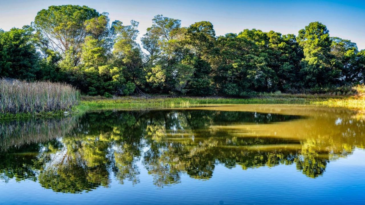 Welbedacht Game & Nature Reserve Tulbagh Luaran gambar