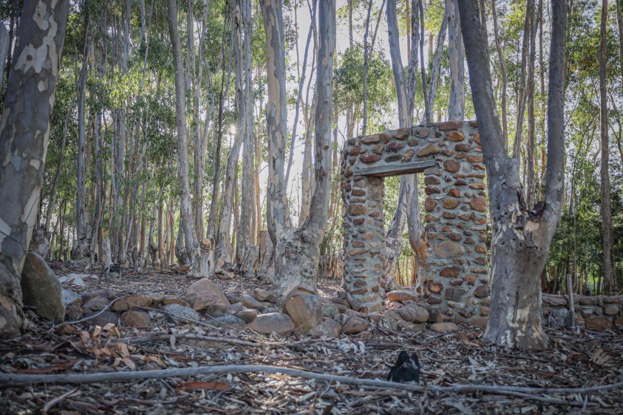 Welbedacht Game & Nature Reserve Tulbagh Luaran gambar