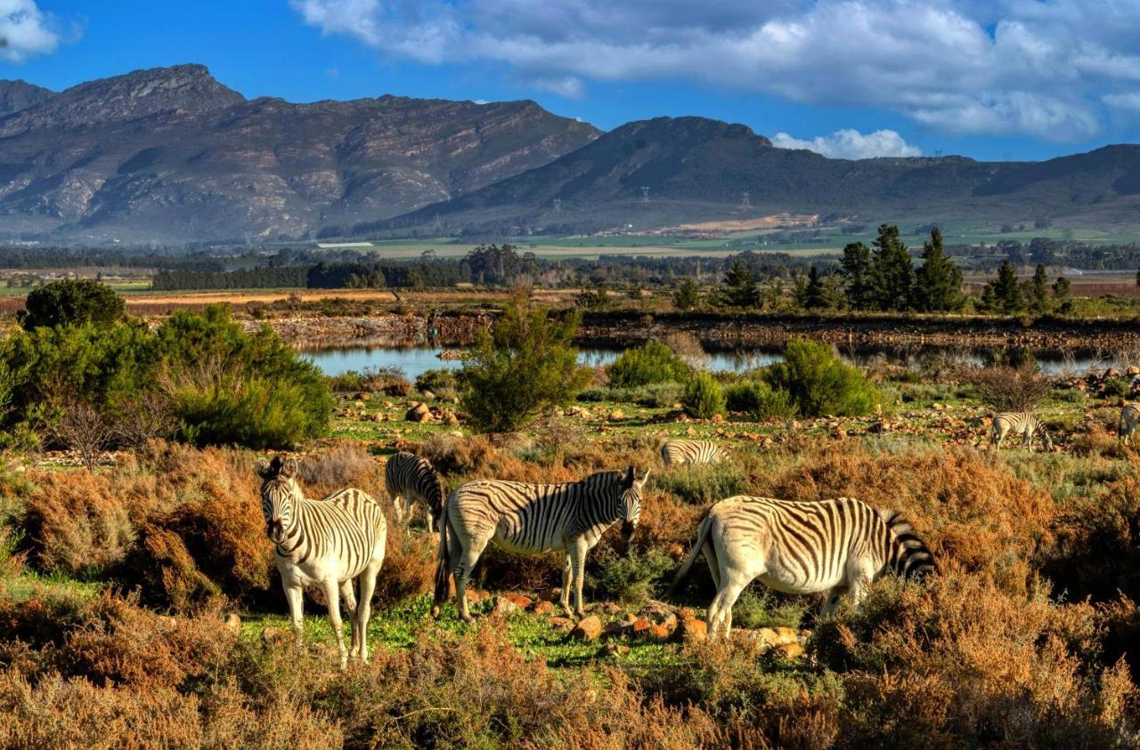 Welbedacht Game & Nature Reserve Tulbagh Luaran gambar