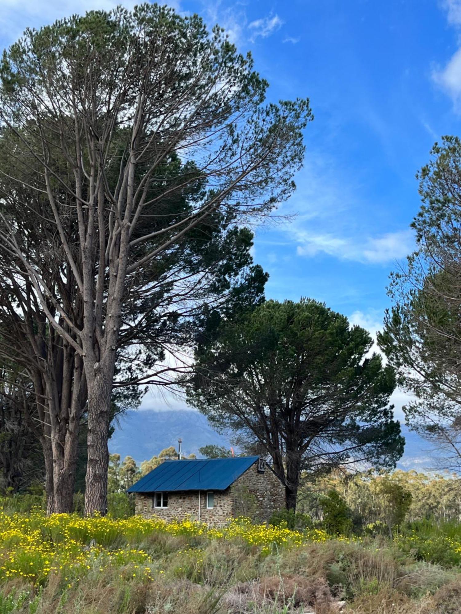 Welbedacht Game & Nature Reserve Tulbagh Luaran gambar